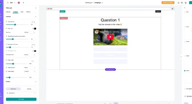 About the video quiz