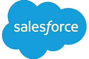 logo of one of the possible integrations: Salesforce, light blue cloud, white "salesforce"